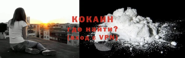 мдпв Дмитровск