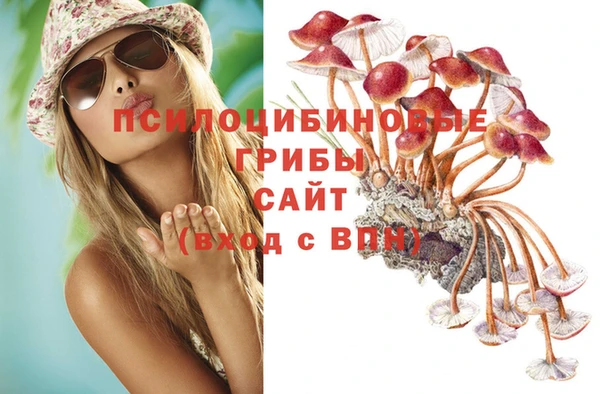а пвп мука Дмитриев